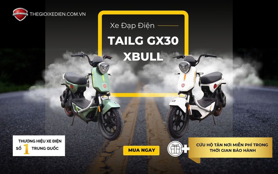 Xe đạp điện hãng Tailg