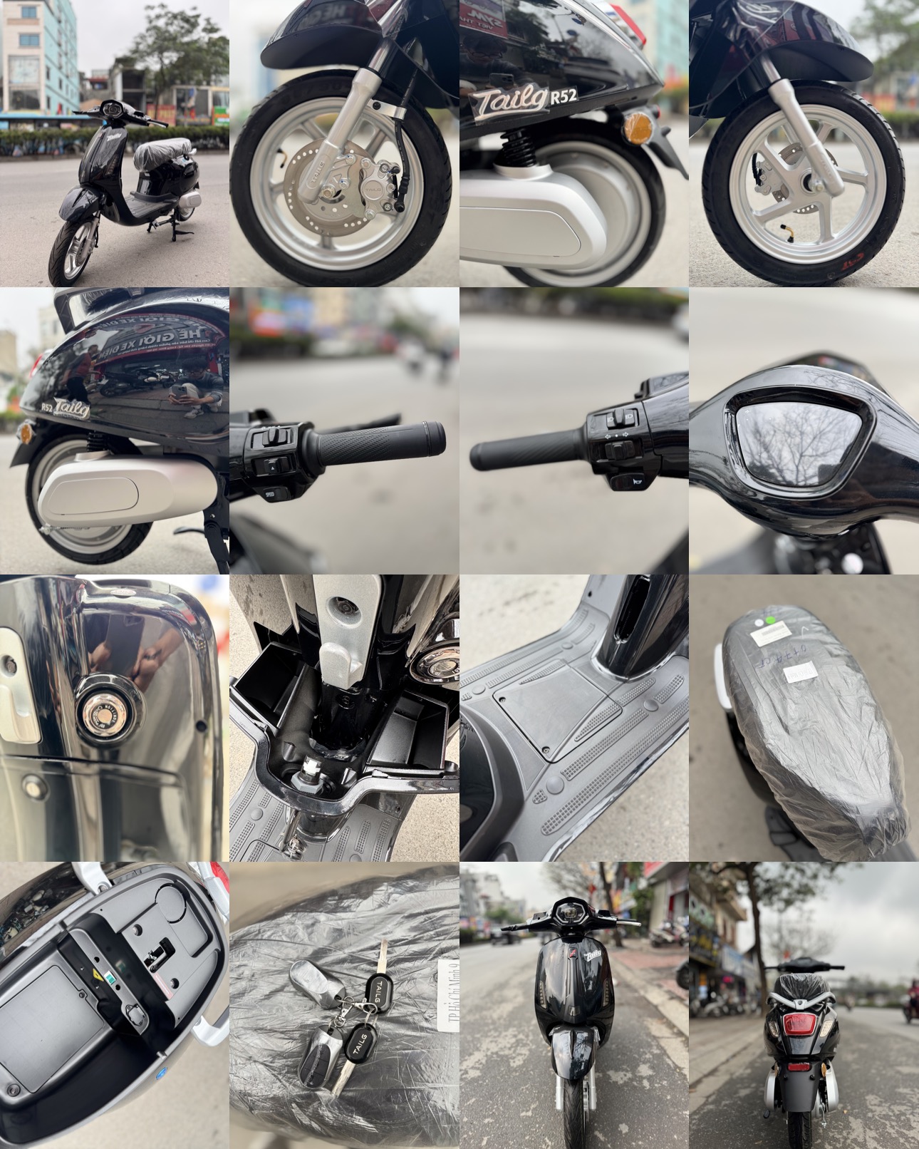 Xe điện Tailg Vespas R52