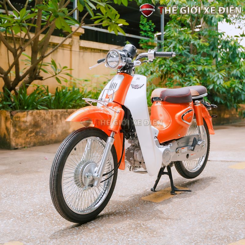 Mô tả xe máy 50cc Cub New Vigor Ally