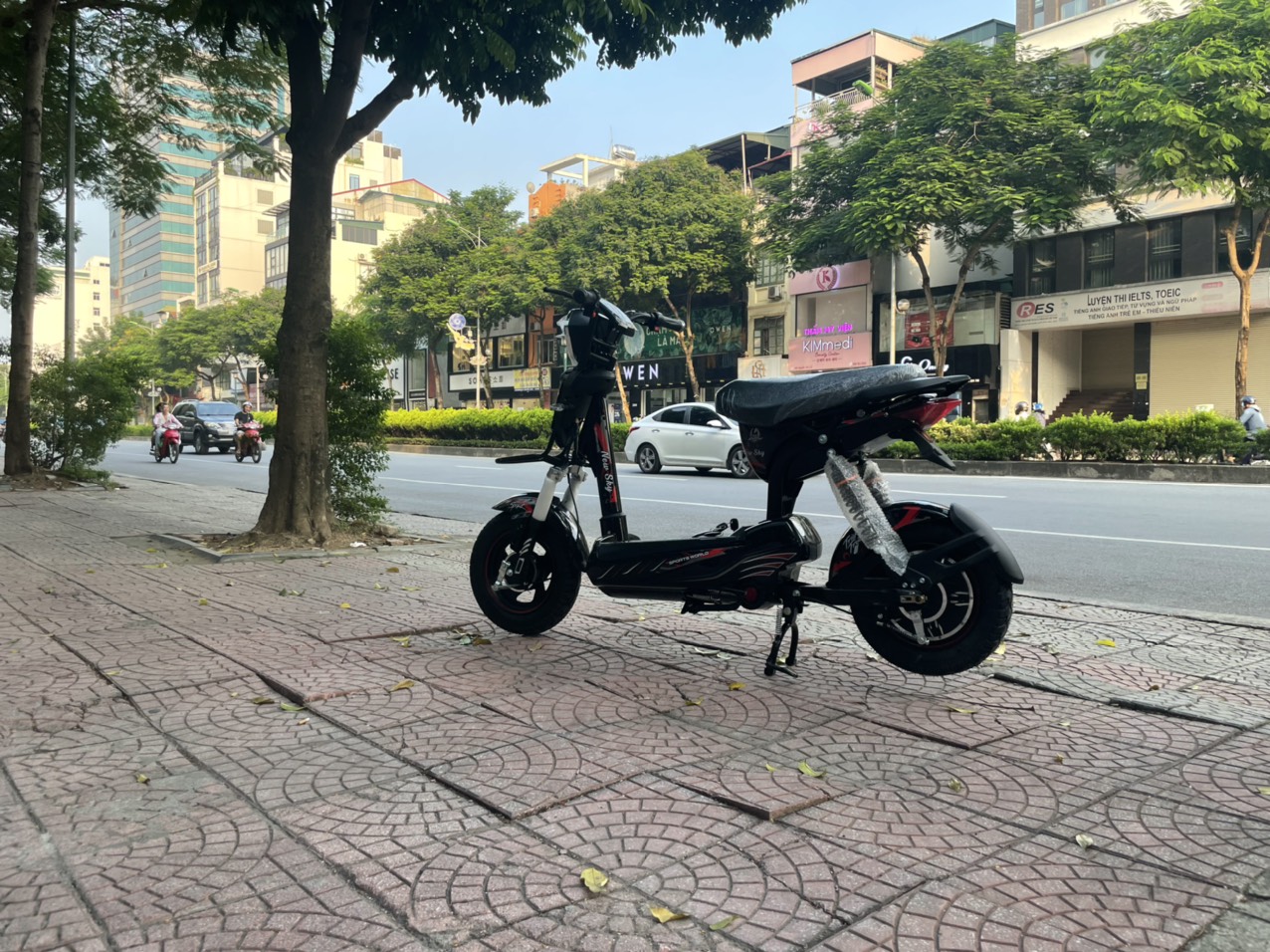 Xe đạp điện 133 New Sky Japan