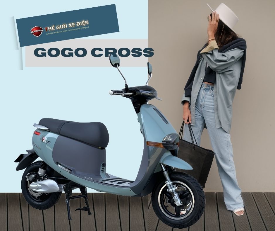 Xe máy điện Dibao gogo Cross