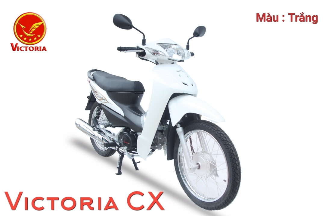 Xe Máy 50cc Wave Victoria Việt Nhật 2023