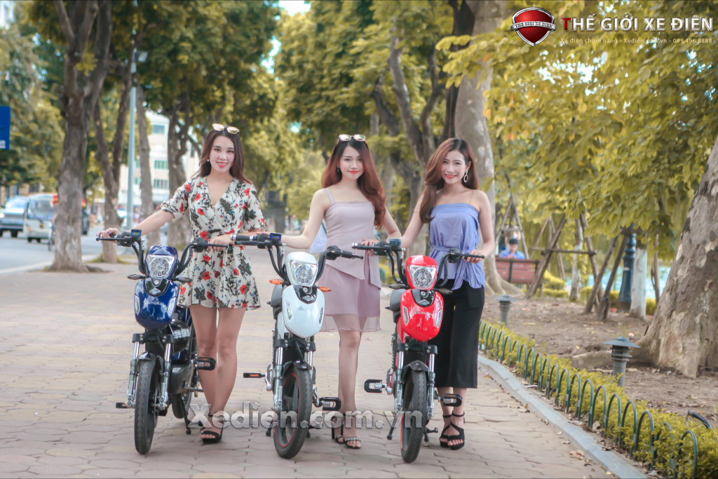 Xe đạp điện