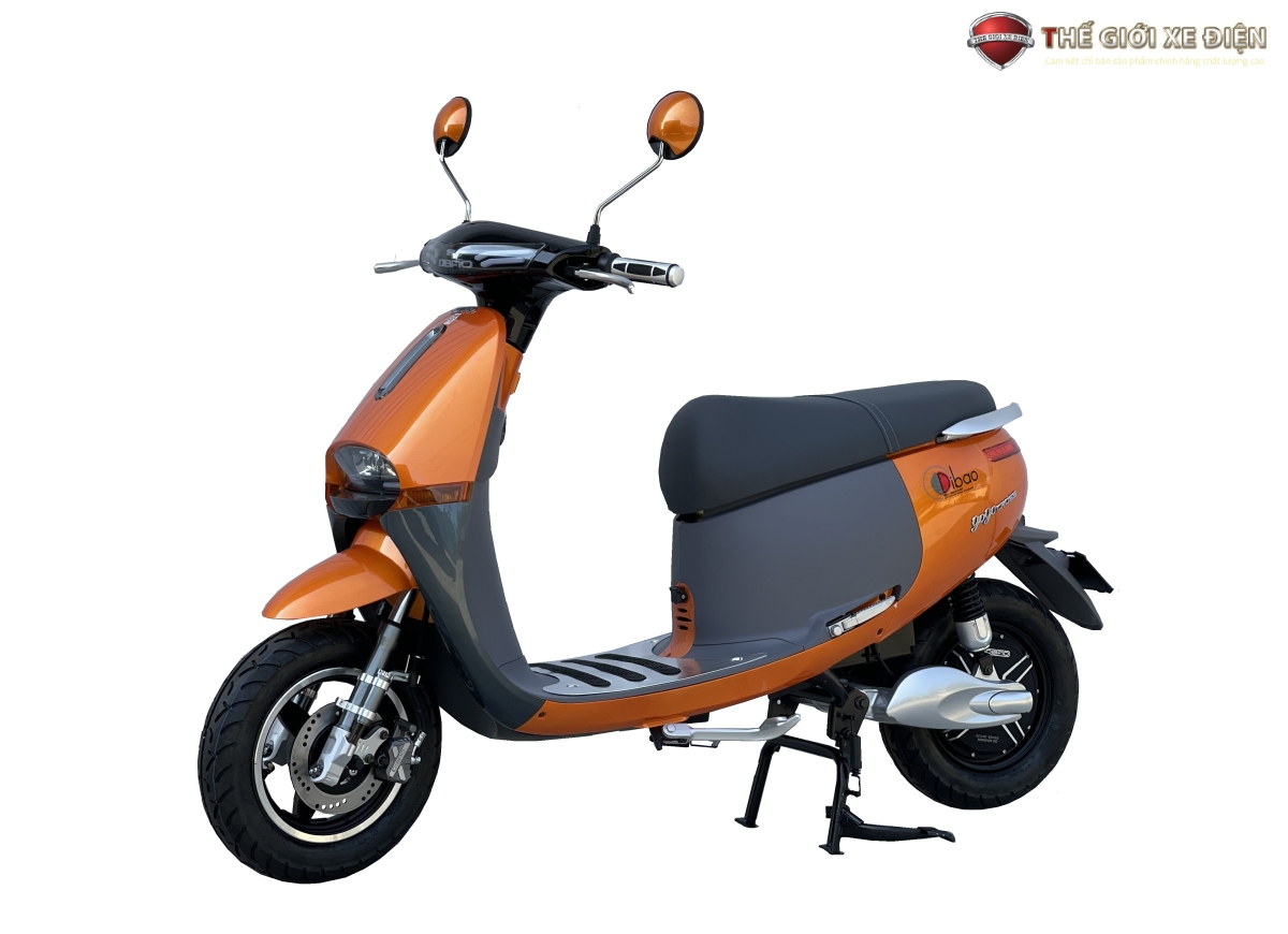 Tỏa sáng cùng Dibao Gogo Cross - Phong cách không giới hạn