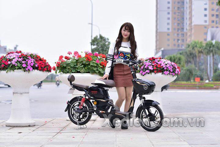 Xe đạp điện honda M6