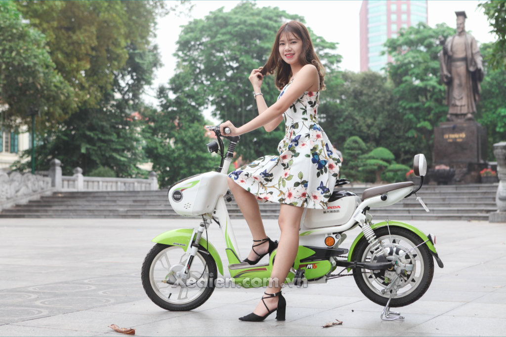 Xe đạp điện