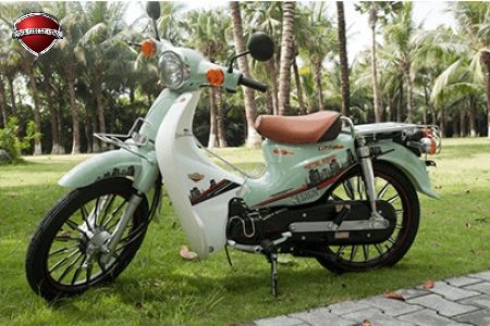 Xe Máy 50cc Cub Victoria Việt Nhật 2023